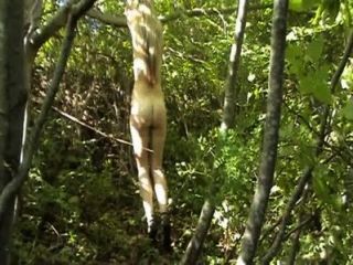 züchtigung in wald