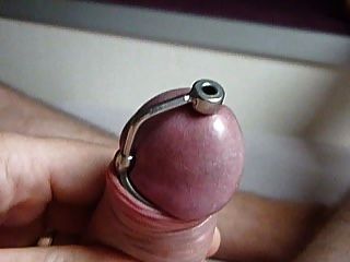 penis stecker