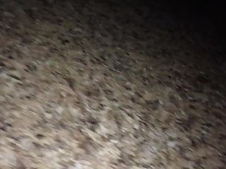 biv